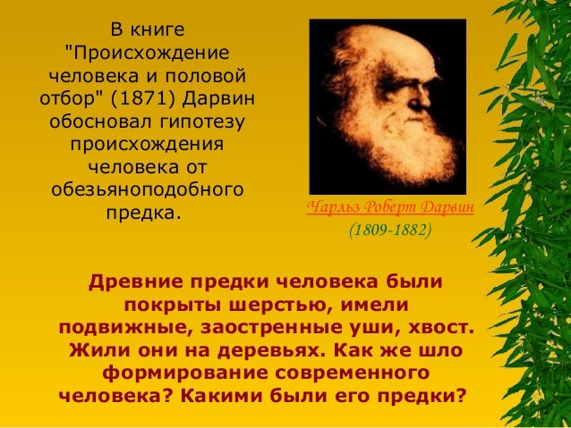 Реферат На Тему Древние Предки Человека Реферат На Тему Древние Предки Человека